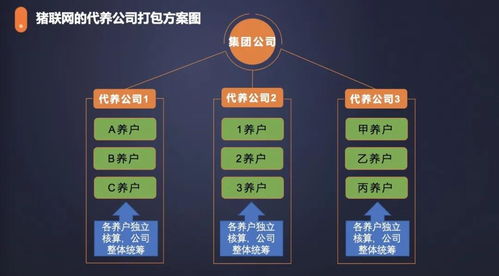 農信互聯與紅明彪集團合作 手機軟件設計與開發引領創新發展新模式