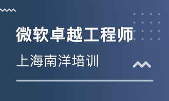 上海Microsoft卓越工程師系列課程價格與軟件開發(fā)培訓機構(gòu)對比分析