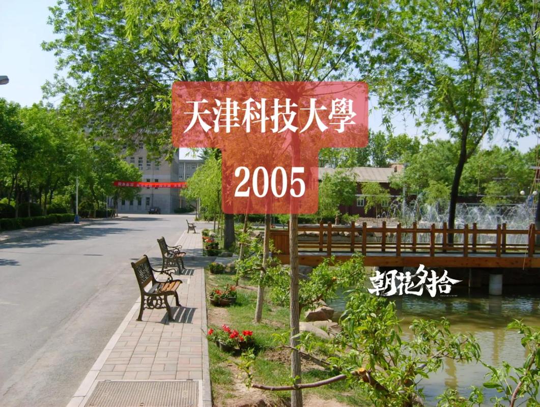 二十年前的天津科技大學(xué) 河西校區(qū)的那家餐廳，你吃過嗎？